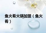 魚火肴火鍋加盟（魚火肴）