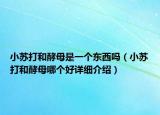 小蘇打和酵母是一個東西嗎（小蘇打和酵母哪個好詳細介紹）