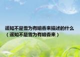 遙知不是雪為有暗香來描述的什么（遙知不是雪為有暗香來）