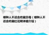 哪種人不適合吃藏貝母（哪種人不適合吃藏紅花呢詳細(xì)介紹）