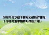 薄荷葉泡水是干的好還是新鮮的好（薄荷葉泡水提神嗎詳細(xì)介紹）