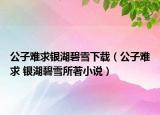 公子難求銀湖碧雪下載（公子難求 銀湖碧雪所著小說(shuō)）
