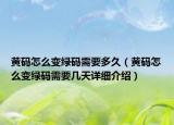 黃碼怎么變綠碼需要多久（黃碼怎么變綠碼需要幾天詳細介紹）