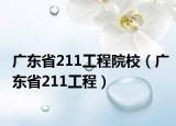 廣東省211工程院校（廣東省211工程）