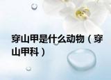穿山甲是什么動(dòng)物（穿山甲科）