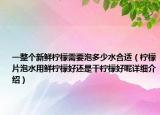 一整個新鮮檸檬需要泡多少水合適（檸檬片泡水用鮮檸檬好還是干檸檬好呢詳細(xì)介紹）