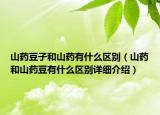 山藥豆子和山藥有什么區(qū)別（山藥和山藥豆有什么區(qū)別詳細介紹）