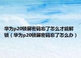 華為p20鎖屏密碼忘了怎么才能解鎖（華為p20鎖屏密碼忘了怎么辦）