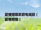 愛情婚姻家庭電視?。◥矍榛橐觯? /></span></a>
                        <h2><a  title=