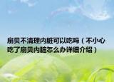 扇貝不清理內(nèi)臟可以吃嗎（不小心吃了扇貝內(nèi)臟怎么辦詳細介紹）