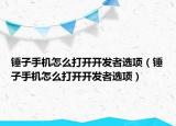 錘子手機怎么打開開發(fā)者選項（錘子手機怎么打開開發(fā)者選項）