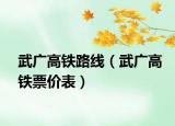 武廣高鐵路線（武廣高鐵票價(jià)表）
