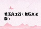 差壓變送器（差壓變送器）