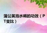 蒲公英泡水喝的功效（PT變比）