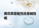 黃花菜是酸性還是堿性呢