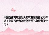 中國石化青島液化天然氣有限責(zé)任公司待遇（中國石化青島液化天然氣有限責(zé)任公司）