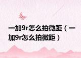 一加9r怎么拍微距（一加9r怎么拍微距）