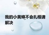 我的小黃蜂不會扎根請解決