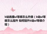 b站直播ul等級怎么升級（b站ul等級怎么提升 如何提升b站ul等級介紹）