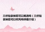 三伏貼拿掉后可以喝酒嗎（三伏貼拿掉后可以吹風(fēng)嗎詳細(xì)介紹）