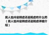 男人怕冷是陰虛還是陽虛吃什么藥（男人怕冷是陰虛還是陽虛詳細(xì)介紹）
