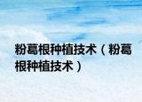 粉葛根種植技術(shù)（粉葛根種植技術(shù)）