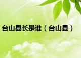 臺山縣長是誰（臺山縣）