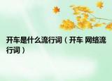 開車是什么流行詞（開車 網(wǎng)絡(luò)流行詞）