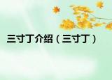 三寸丁介紹（三寸丁）