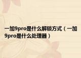 一加9pro是什么解鎖方式（一加9pro是什么處理器）