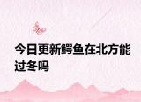 今日更新鱷魚在北方能過冬嗎