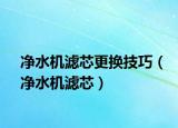 凈水機(jī)濾芯更換技巧（凈水機(jī)濾芯）