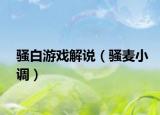 騷白游戲解說（騷麥小調(diào)）