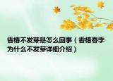 香椿不發(fā)芽是怎么回事（香椿春季為什么不發(fā)芽詳細(xì)介紹）