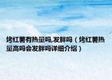烤紅薯有熱量嗎,發(fā)胖嗎（烤紅薯熱量高嗎會發(fā)胖嗎詳細介紹）