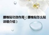 腰椎貼功效作用（腰椎貼怎么貼詳細(xì)介紹）