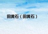 田黃石（田黃石）