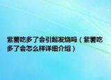 紫薯吃多了會引起發(fā)燒嗎（紫薯吃多了會怎么樣詳細介紹）
