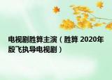 電視劇勝算主演（勝算 2020年殷飛執(zhí)導(dǎo)電視劇）