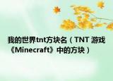 我的世界tnt方塊名（TNT 游戲《Minecraft》中的方塊）