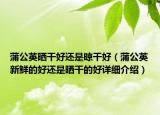 蒲公英曬干好還是晾干好（蒲公英新鮮的好還是曬干的好詳細介紹）