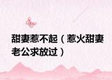 甜妻惹不起（惹火甜妻老公求放過）