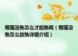 榴蓮沒熟怎么才能熟呢（榴蓮沒熟怎么放熟詳細介紹）
