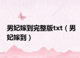 男妃嫁到完整版txt（男妃嫁到）