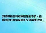 羽絨棉和白鴨絨保暖性差不多（白鵝絨比白鴨絨保暖多少倍詳細(xì)介紹）