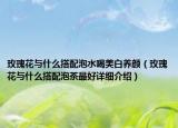 玫瑰花與什么搭配泡水喝美白養(yǎng)顏（玫瑰花與什么搭配泡茶最好詳細介紹）