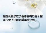 榴蓮長蟲子吃了會(huì)不會(huì)有危害（榴蓮長蟲了還能吃嗎詳細(xì)介紹）