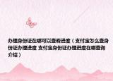 辦理身份證在哪可以查看進(jìn)度（支付寶怎么查身份證辦理進(jìn)度 支付寶身份證辦理進(jìn)度在哪查詢介紹）