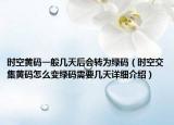 時空黃碼一般幾天后會轉(zhuǎn)為綠碼（時空交集黃碼怎么變綠碼需要幾天詳細(xì)介紹）