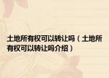 土地所有權(quán)可以轉(zhuǎn)讓嗎（土地所有權(quán)可以轉(zhuǎn)讓嗎介紹）